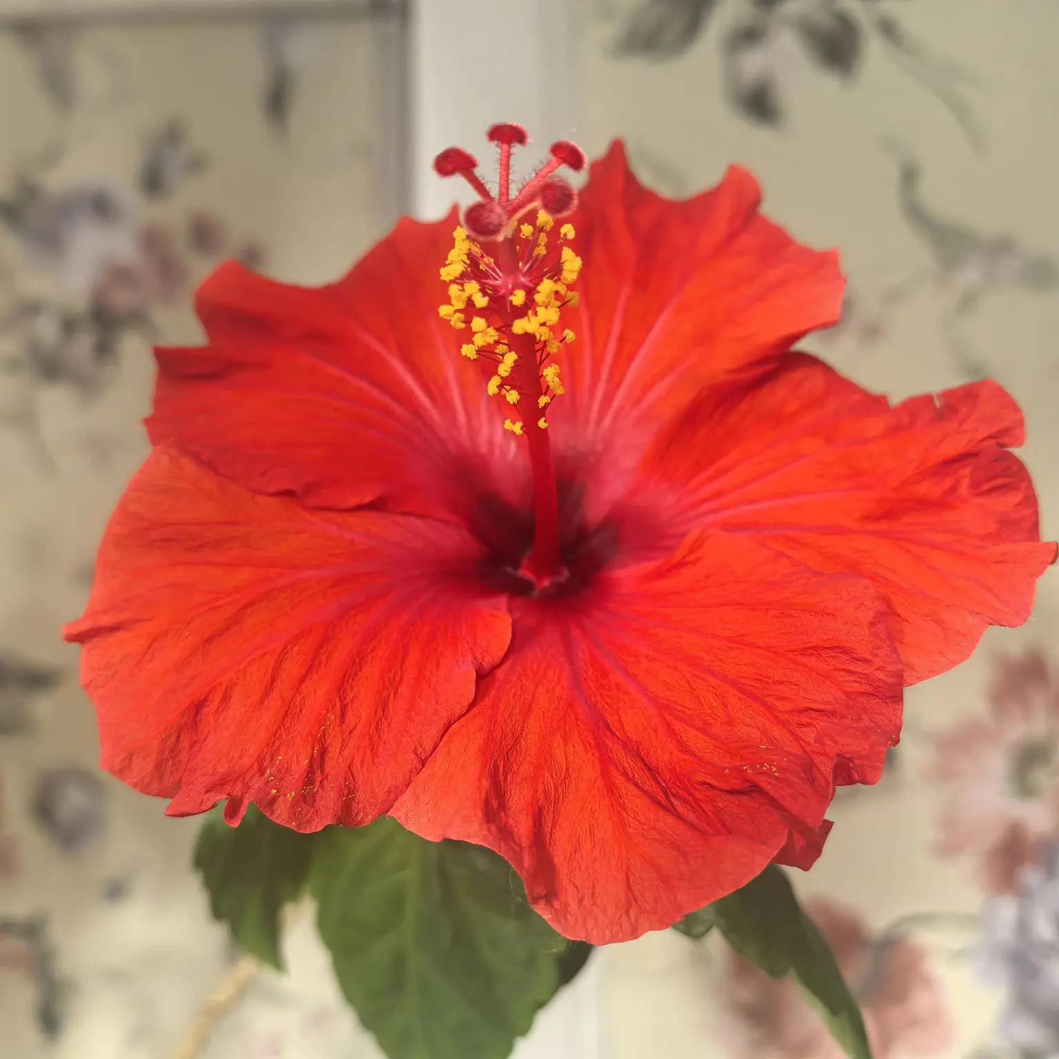 🌺🌺🌺

Женщина — это цветок. Ее красота расцветает, когда за ней ухаживают, любят и лелеют. 

Она 
