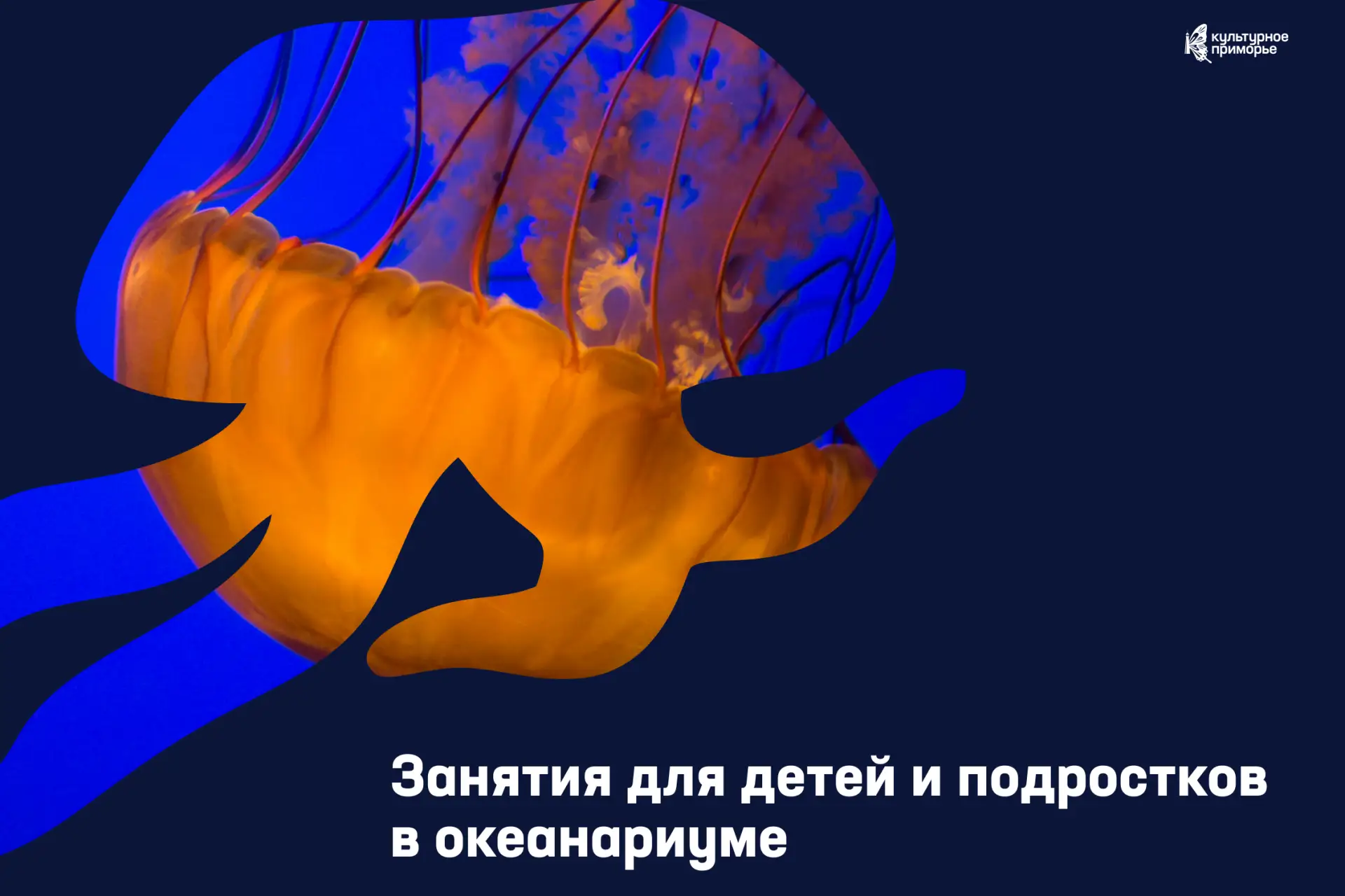 Думаете, чем занять детей в выходные? Океанариум приготовил программу 🐠