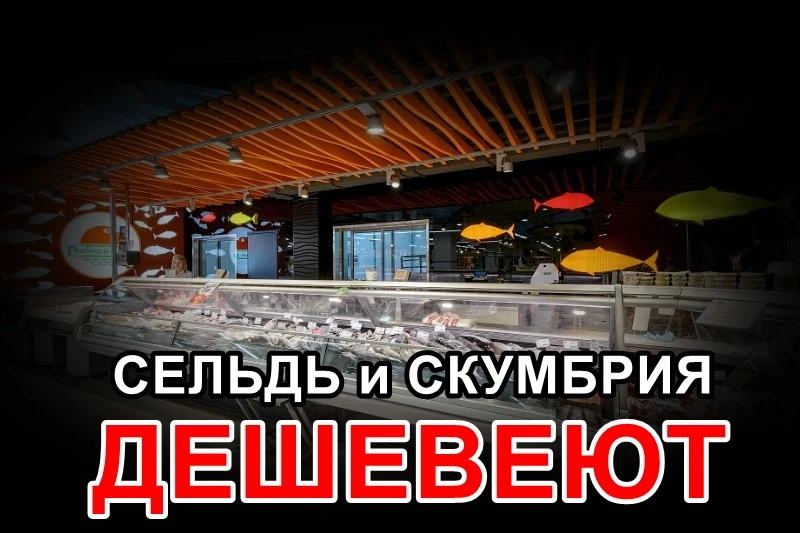 🐟 Сельдь и скумбрия на российском рынке подешевели вопреки мировому росту цен (подробнее)