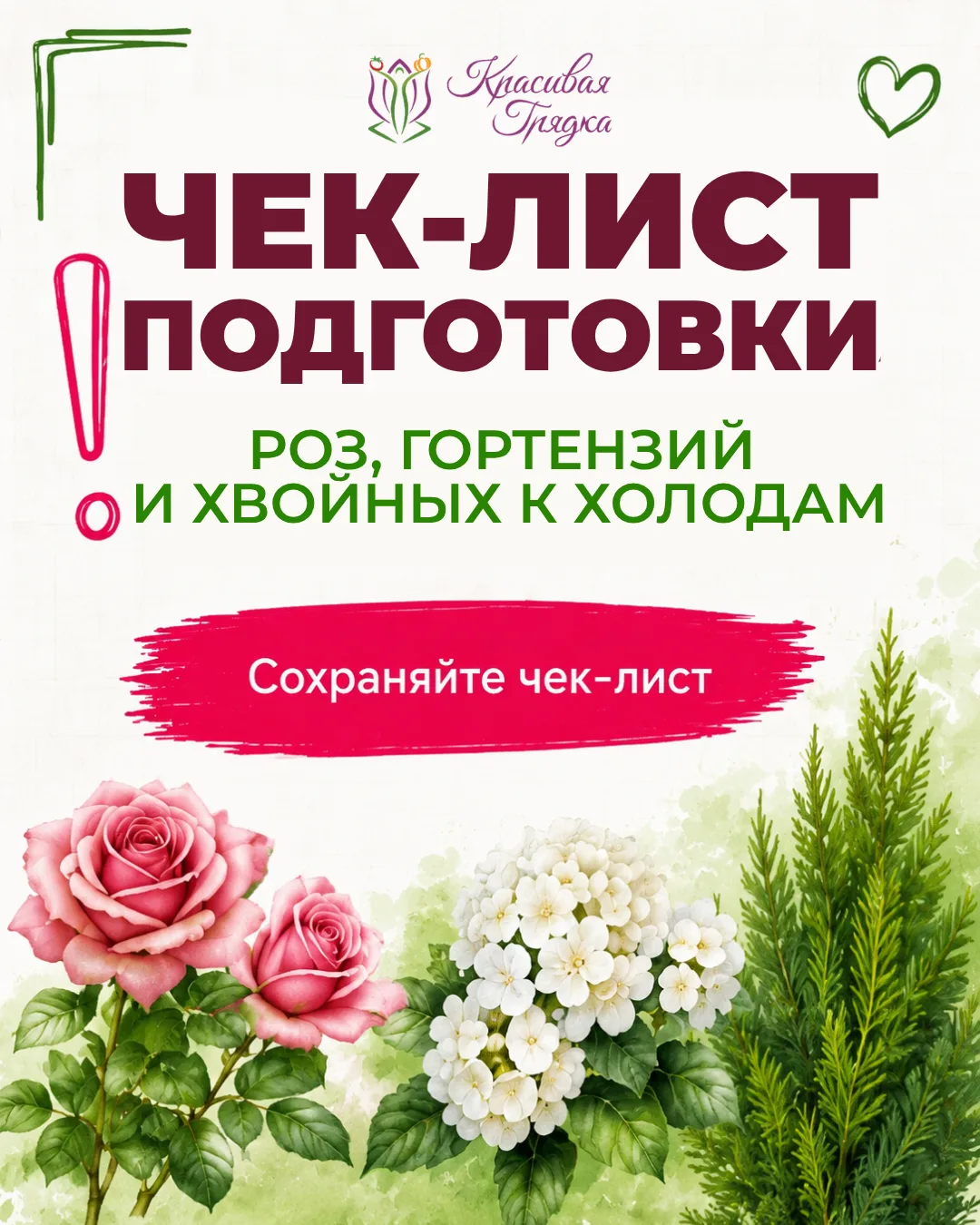 🌹❄️ Чек-лист подготовки роз, гортензий и хвойных к холодам