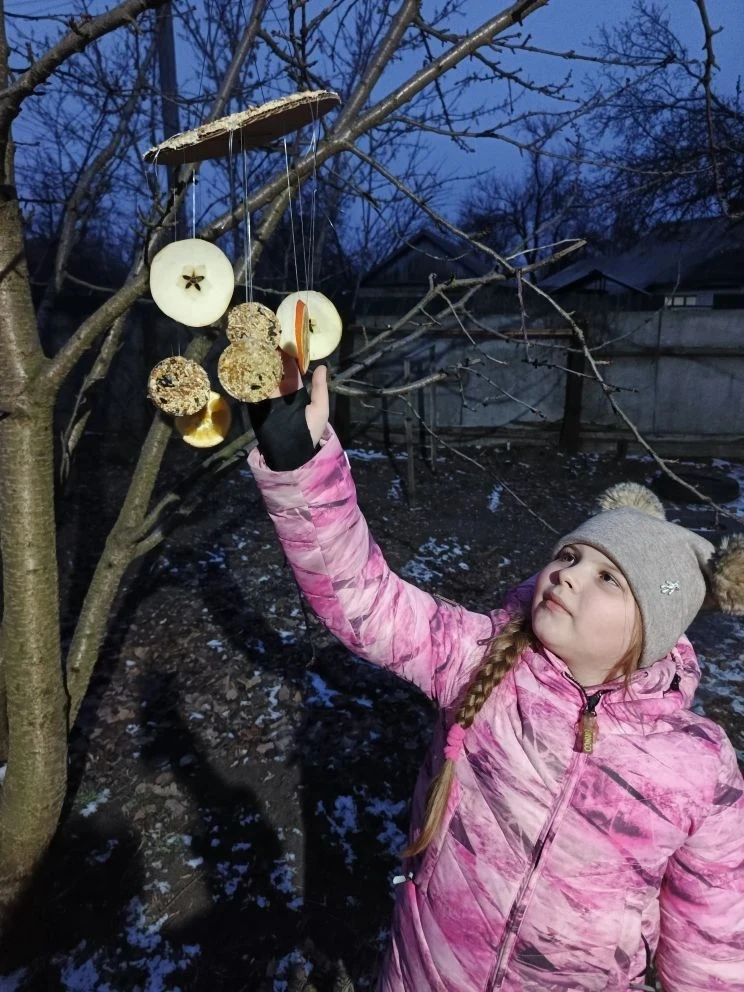❄🍃 «Пернатые соседи»: в школе № 25 стартовала экологическая акция