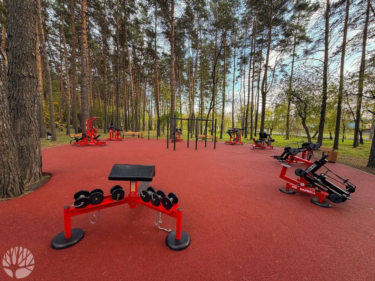 Спортзал под открытым небом появился в Первомайском парке.