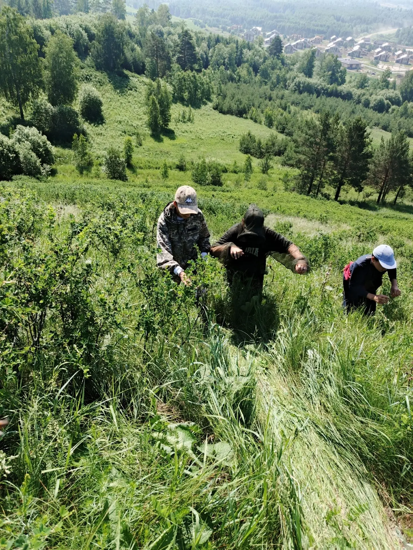 Орнитологический практикум на Коларовской биостанции.

Ребята из актива "Экополюс" продолжают расска