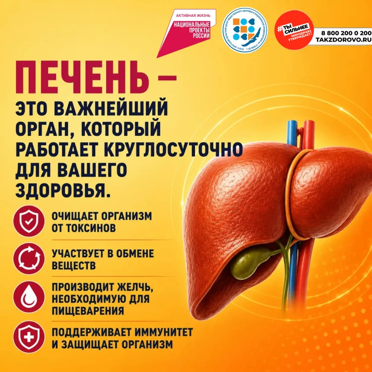 ❗️Уважаемые доноры!
📌Информация дана в целях профилактики заболеваний печени!
⚡️С 27 июля по 2 авгу