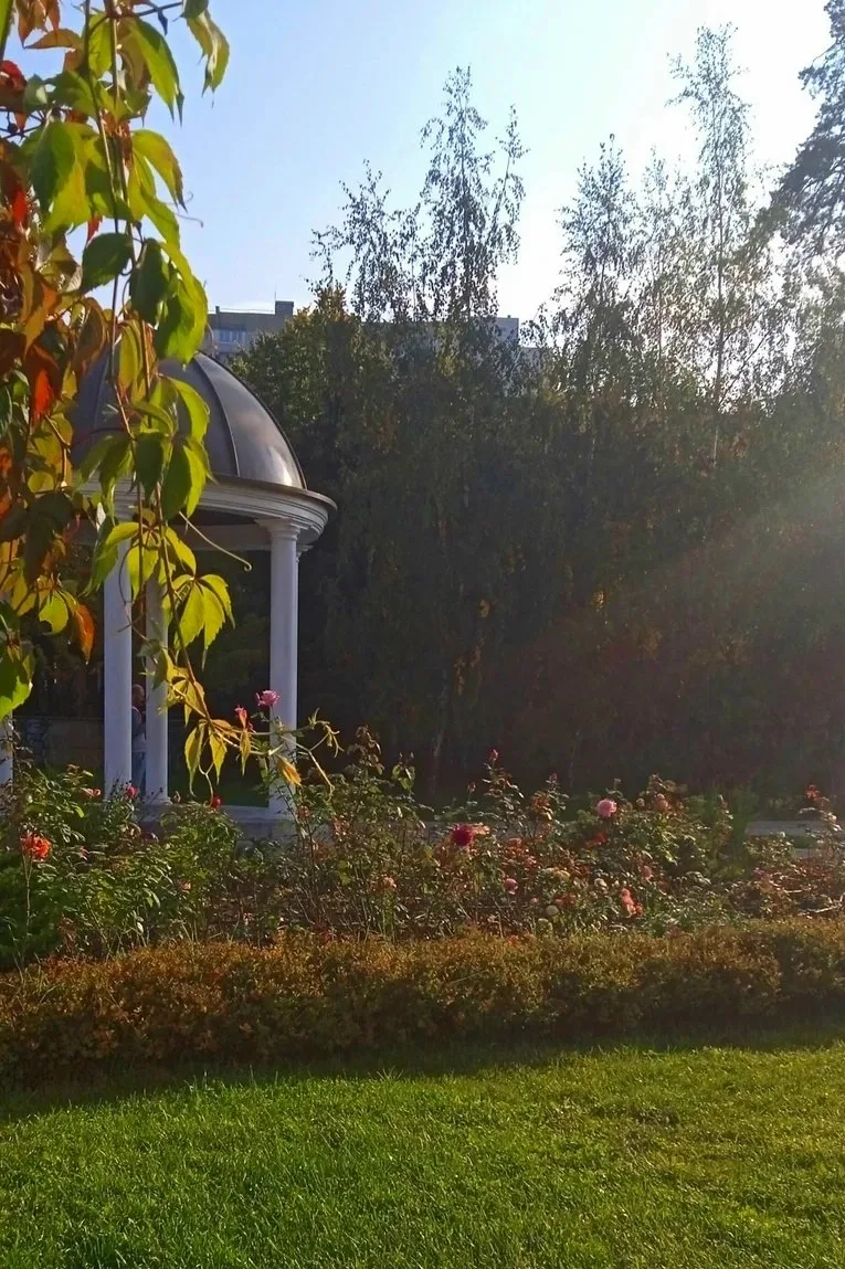 Осень на бульваре в 16-м районе 🍂 И хотя фестивальная площадка пока не работает, сдела...