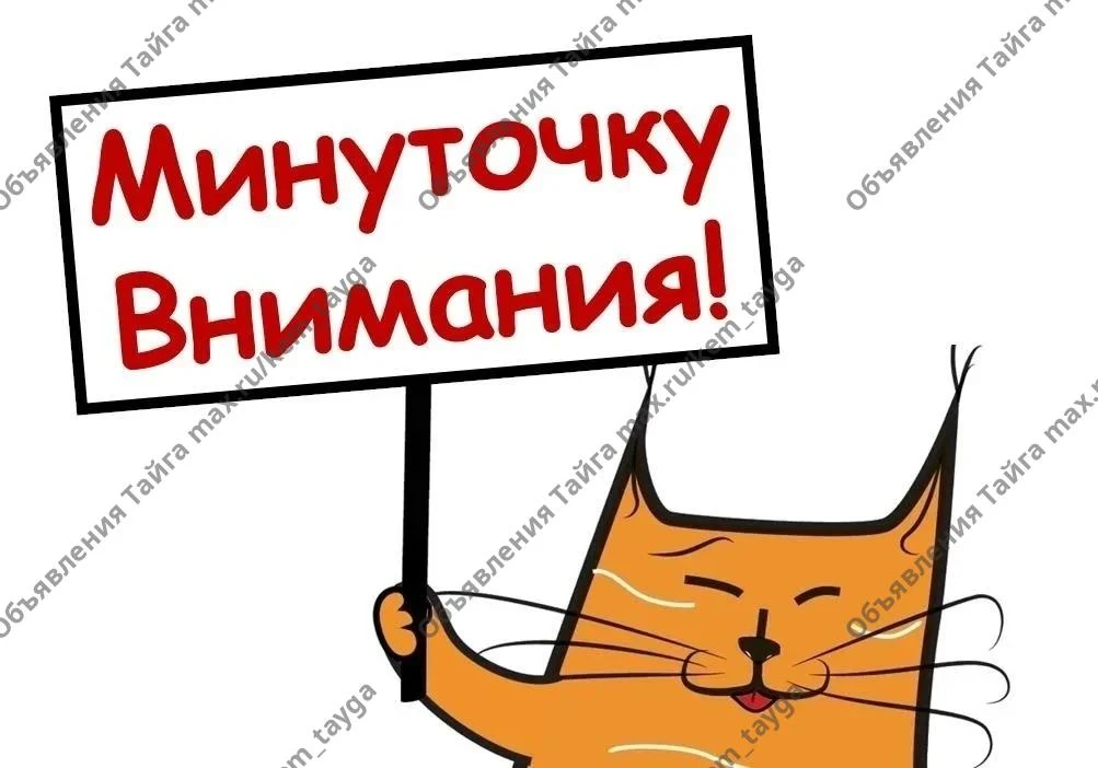Внимание! Теперь все посты, опубликованные в Максе, автоматически дублируются в наш Tel...