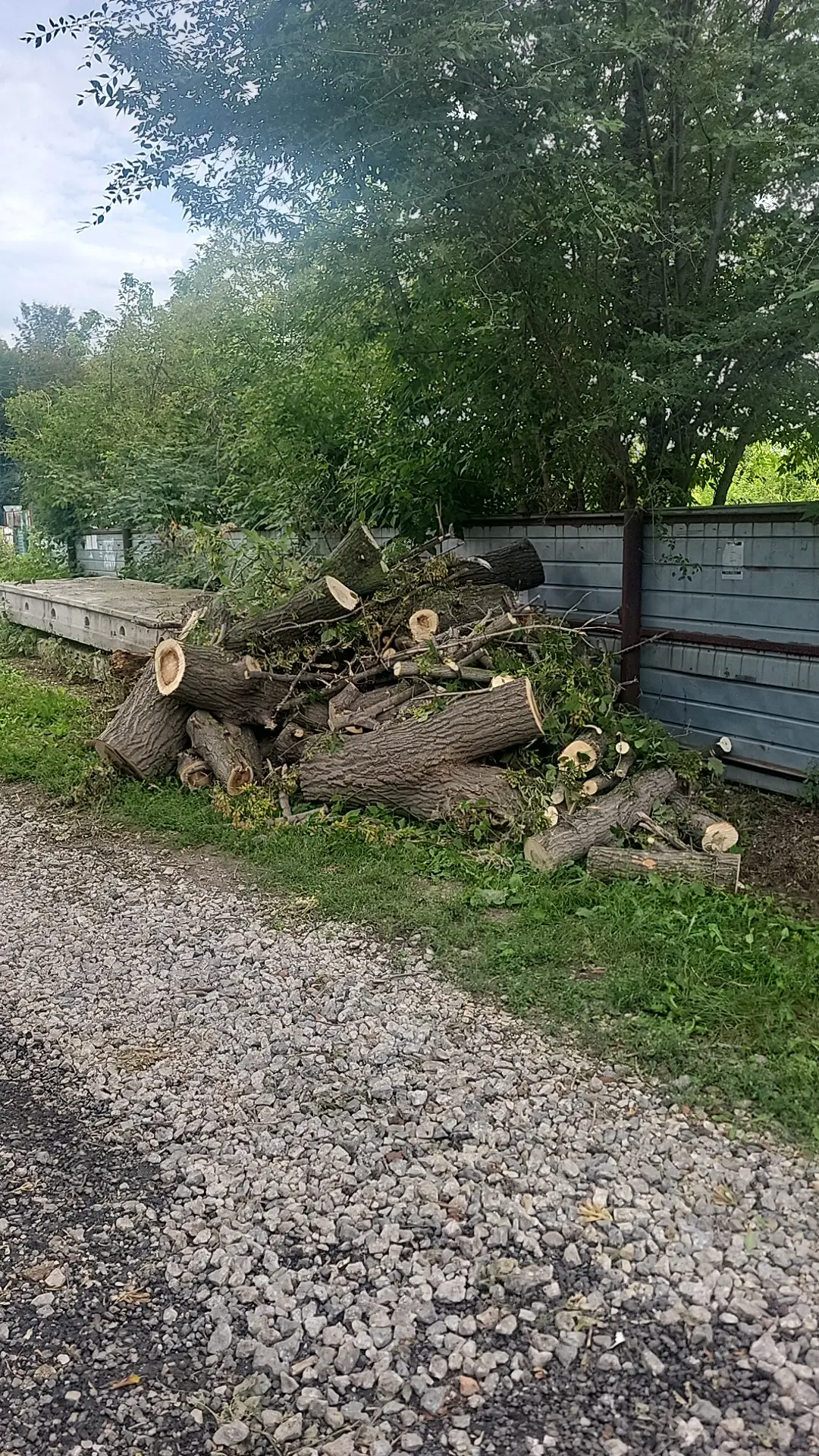 Можно забирать бесплатно дрова около базы
