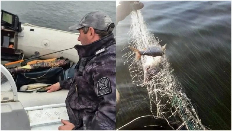 С 1 по 15 сентября Росрыболовство провело 102 рейда по водоёмам Саратовской области
