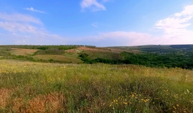 Очень запомнилась мне прошлогодняя вылазка в  окрестности Княгиневки.  Тогда я вышел на высокий левы