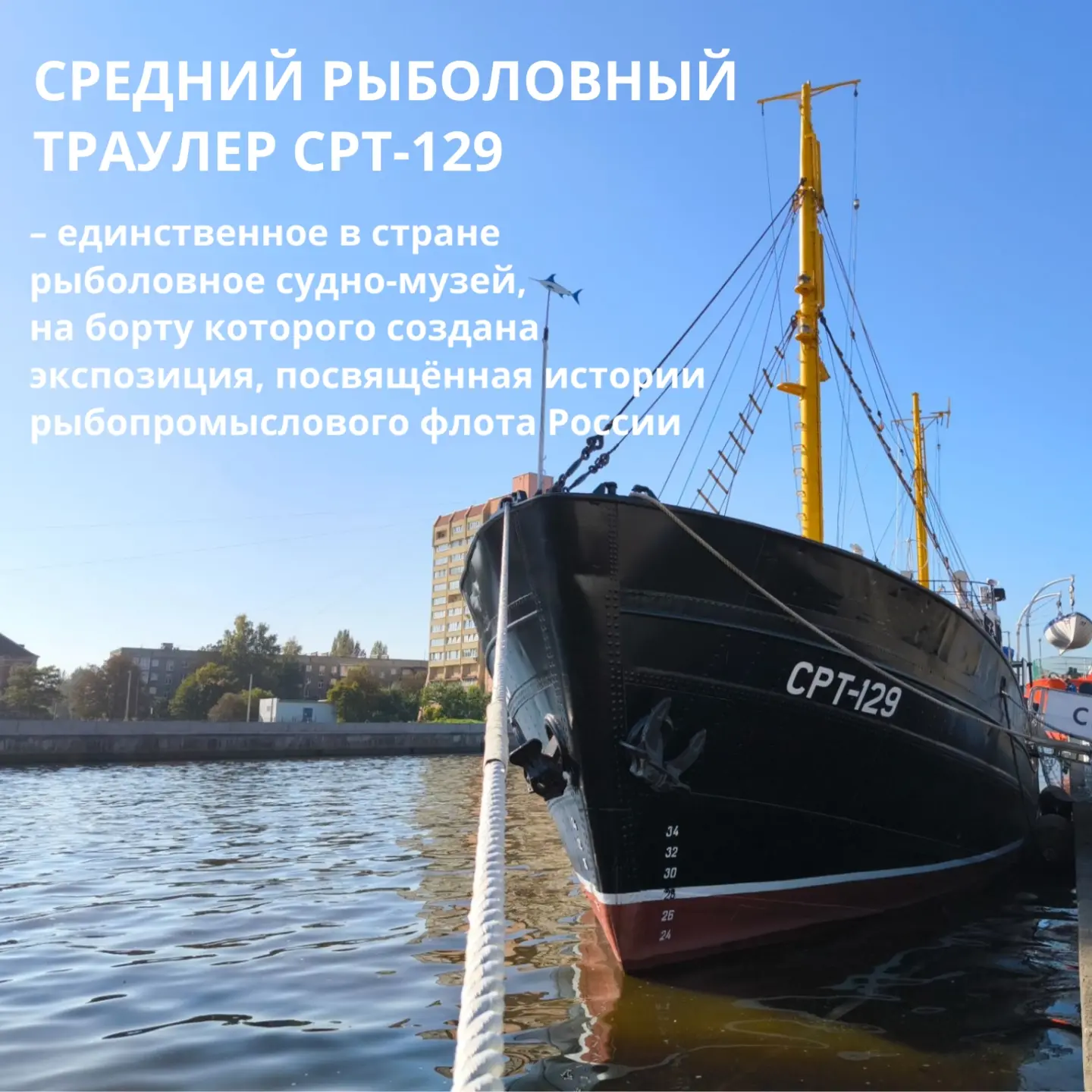 #знаетеливычто Музей Мирового океана — единственный в стране комплексный морской музей....