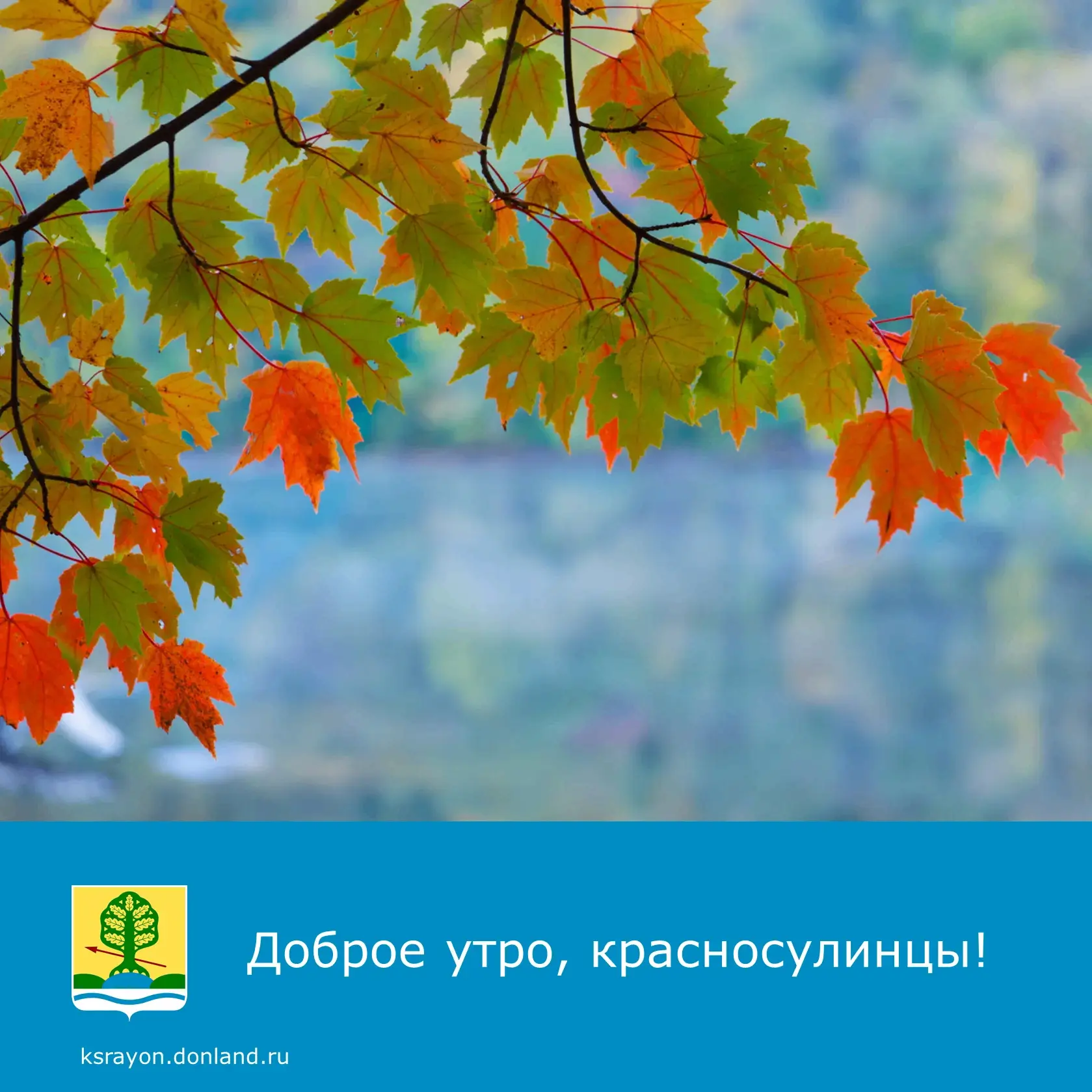 Доброе утро! На календаре 8 сентября.