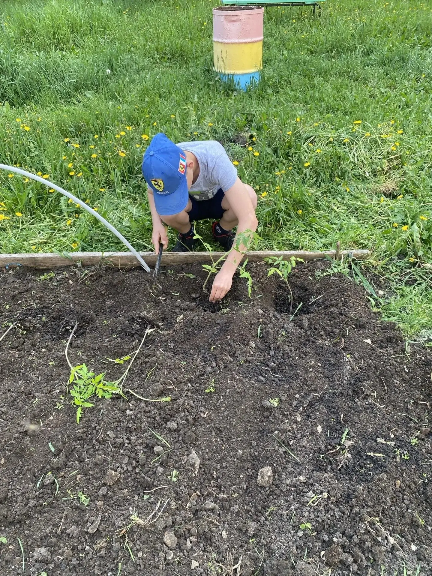 🌷🌱🥬🍅На славу потрудились в прошедшие выходные наши дети! Как и в любой семье, все п...