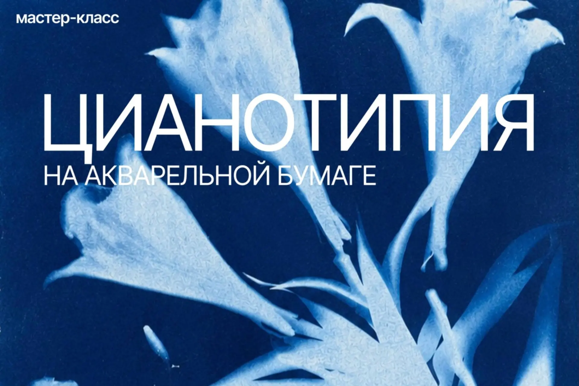 На Мамисоне пройдут мастерские медленной жизни