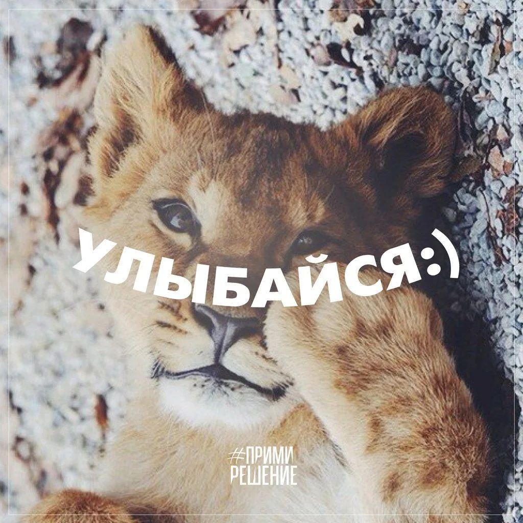 Все Возможно. Афоризмы. Подпишись на @myarc
