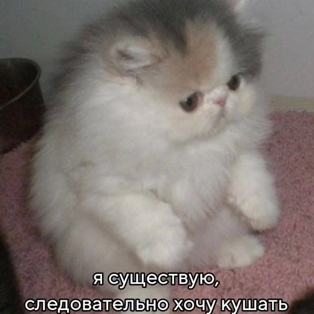 Ставь лайк! ❤️