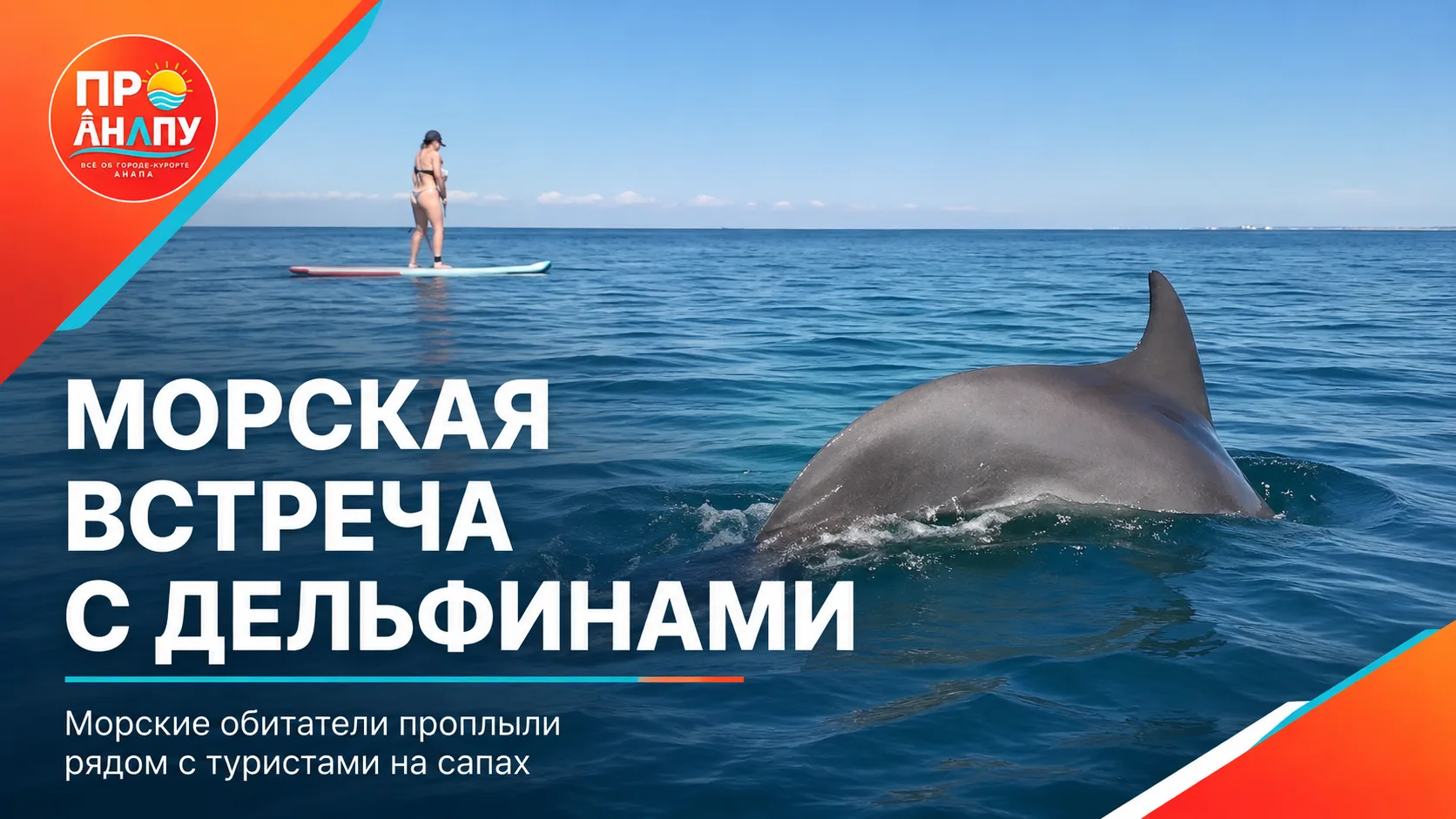 🐬 Дельфины устроили встречу с туристами в море Анапы