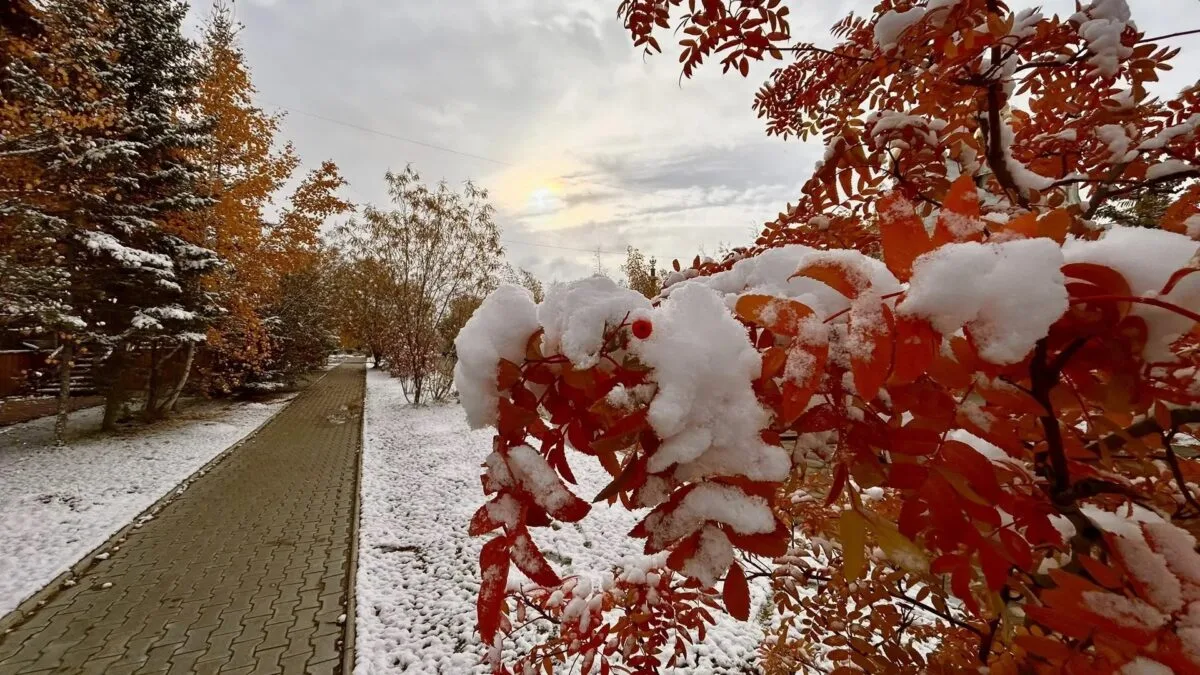 ☀️ #Погода
