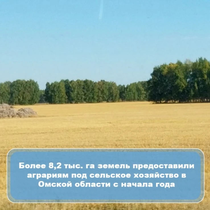 📌Омская область наращивает поддержку агросектора.