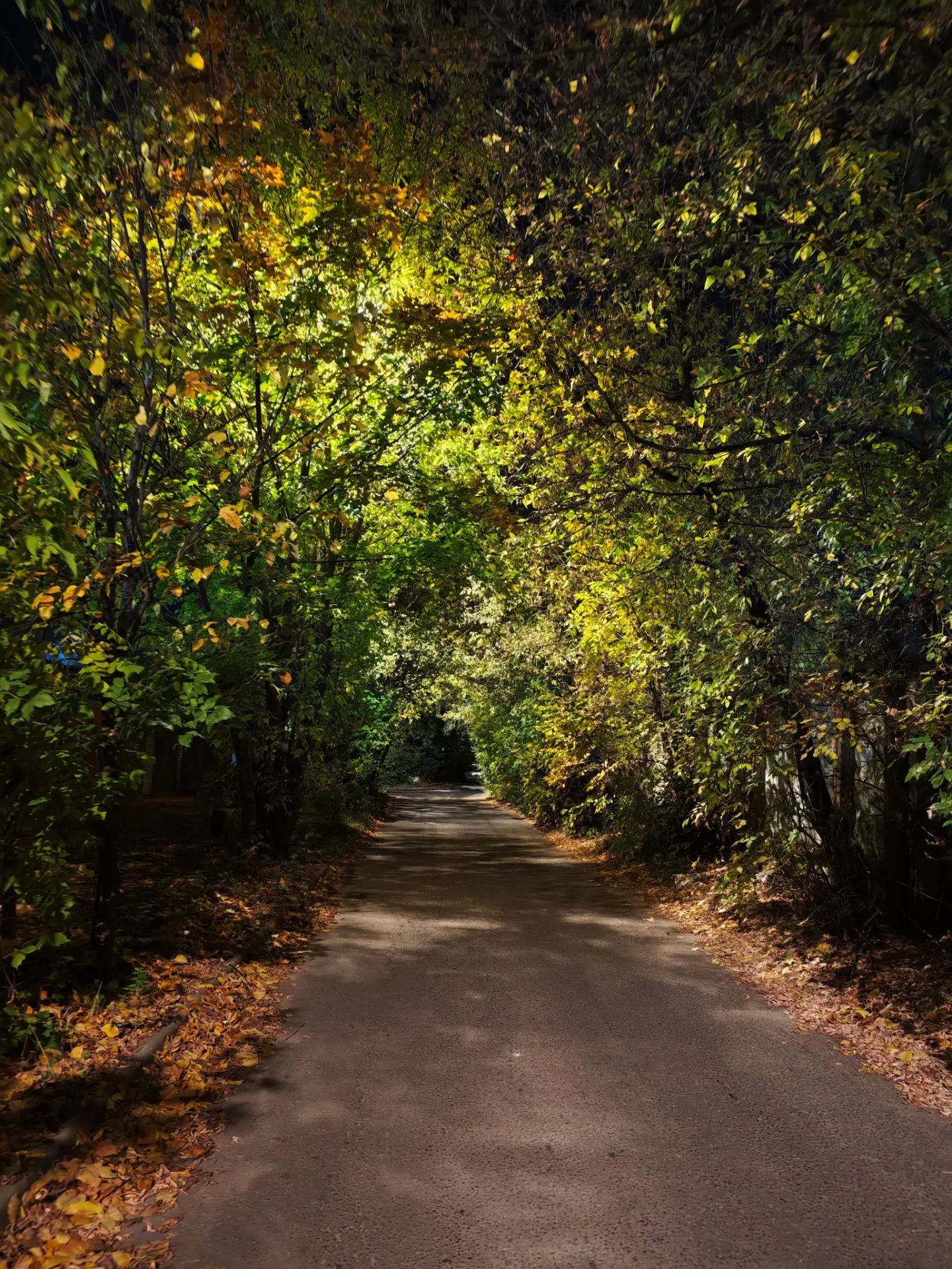 Осенний вечер 🍂🍂🍂