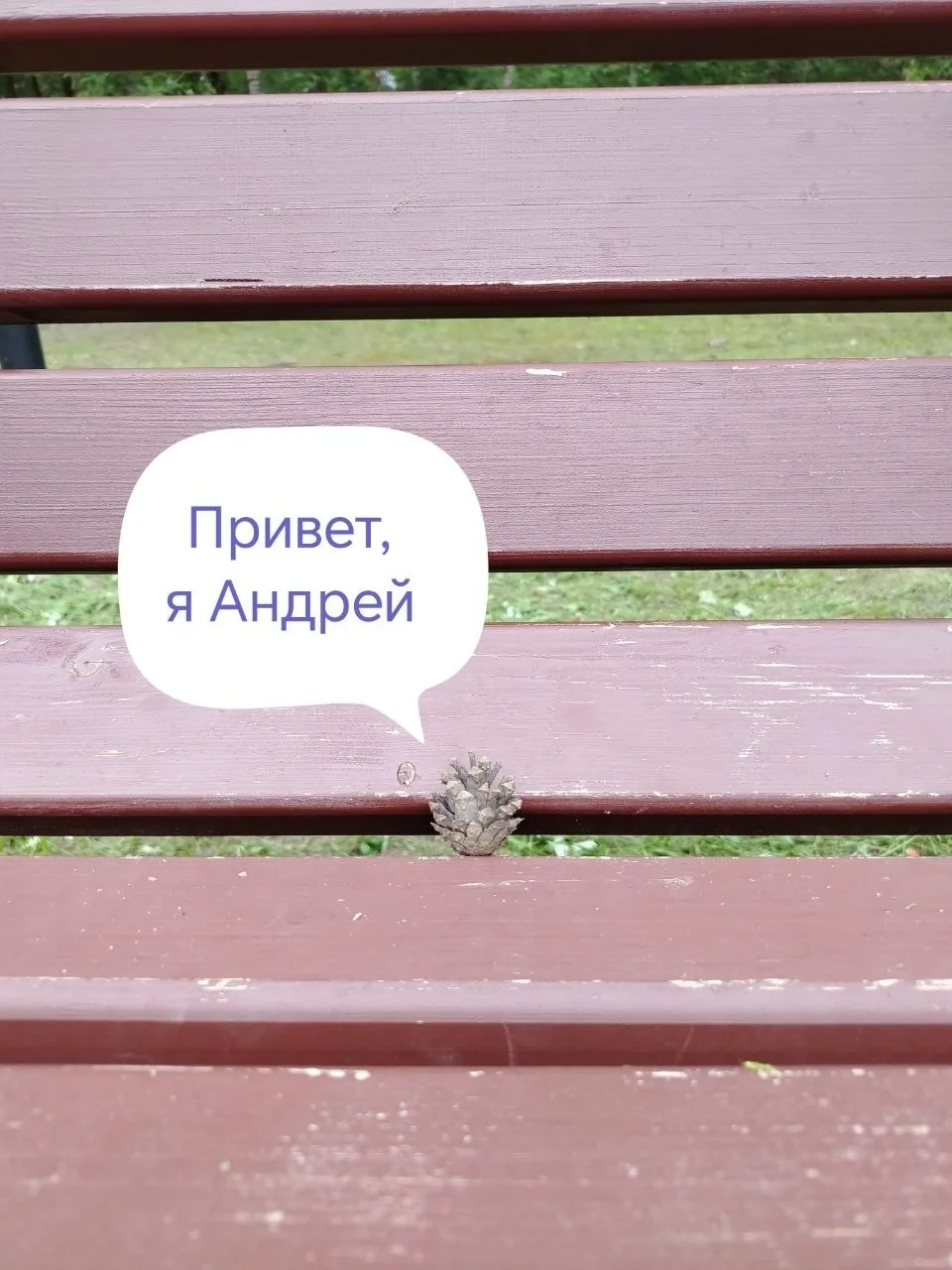 Отрадное на Неве | Никольское | Санкт-Петербург🏡

#молодаяредакция
Грустная история шишки Андрея 💔