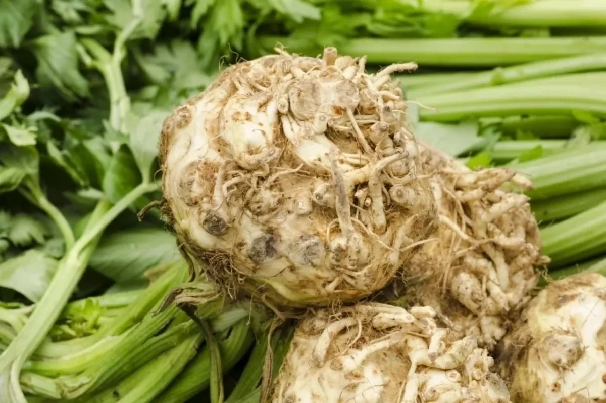 Продукты, которыми можно заменить картофель 🥔

Альтернативой картофелю в рационе могут стать батат,
