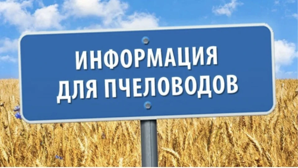 🐝 Важная информация для пчеловодов!

Уважаемые жители Подлесного, Копышовки, Тагая и Чирикеево!

📅