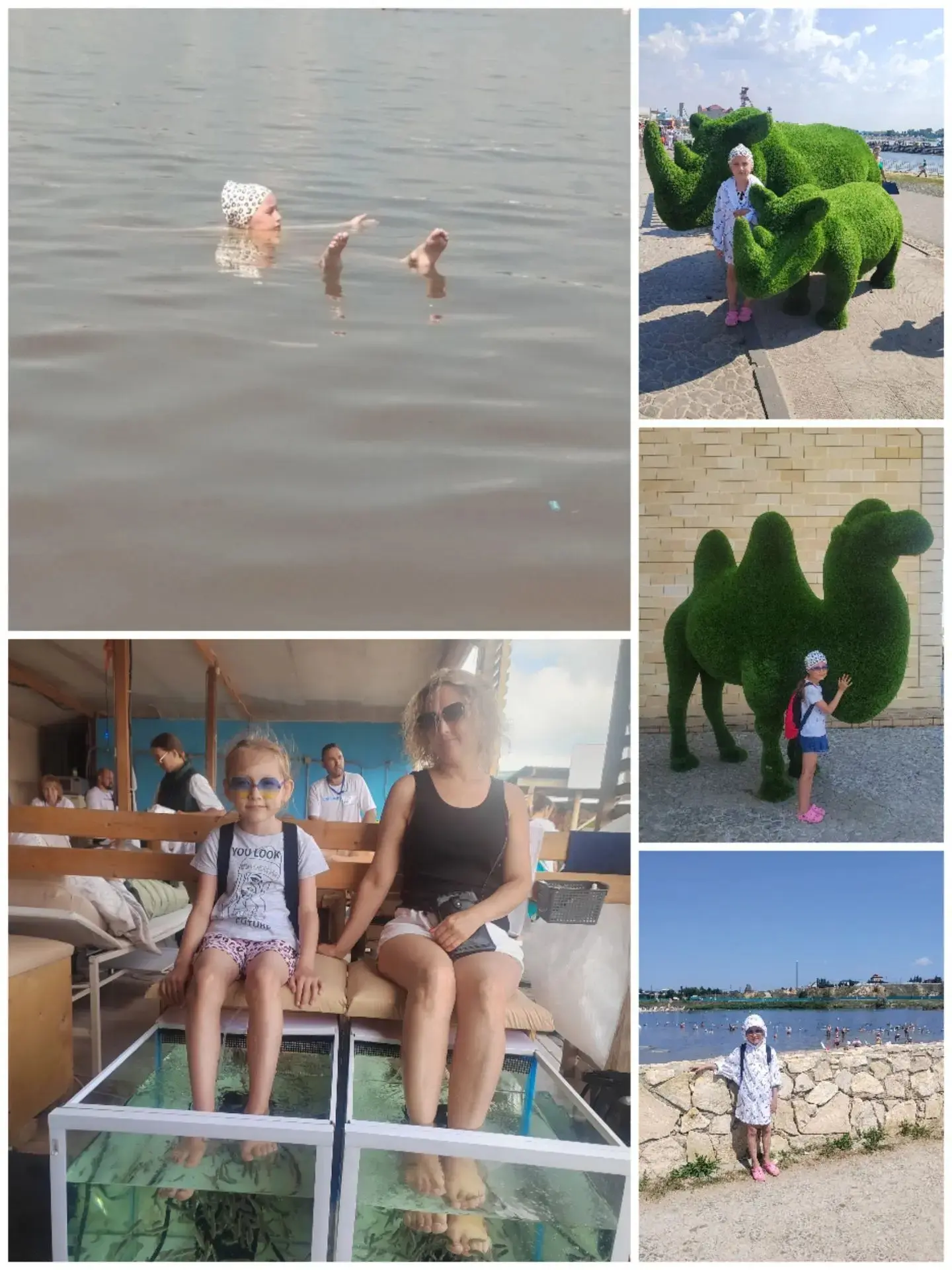 📸 Лето в кадре: делимся теплом! ☀️

Конкурс «Лето в кадре» в самом разгаре, и сегодня нас согревают
