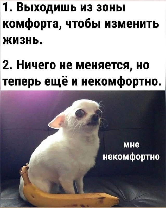 #мемыдня