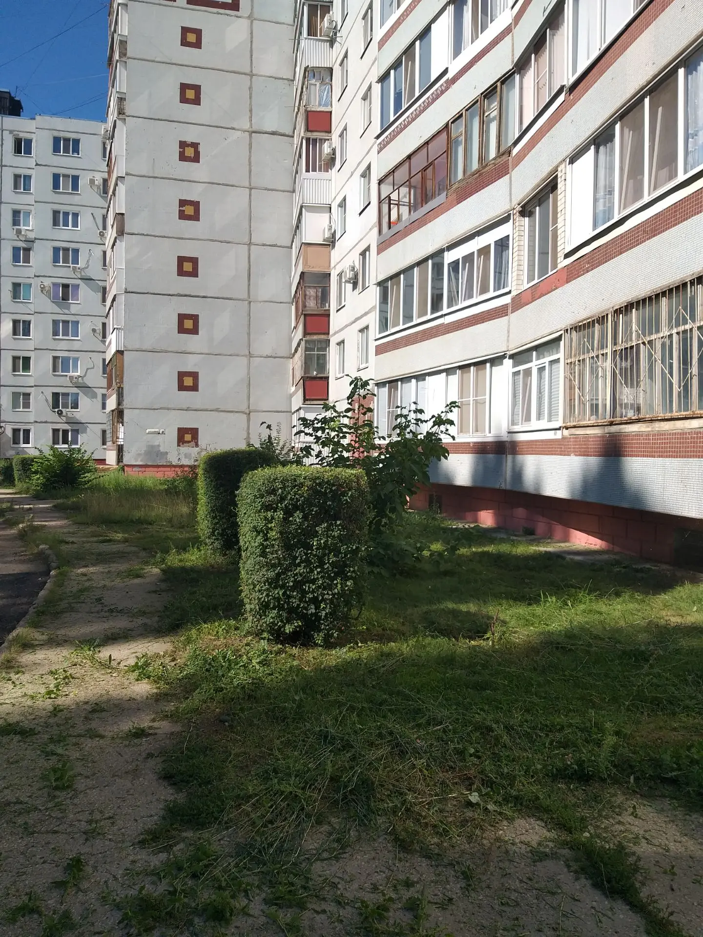 ✅Покос травы на придомовых территориях МКД