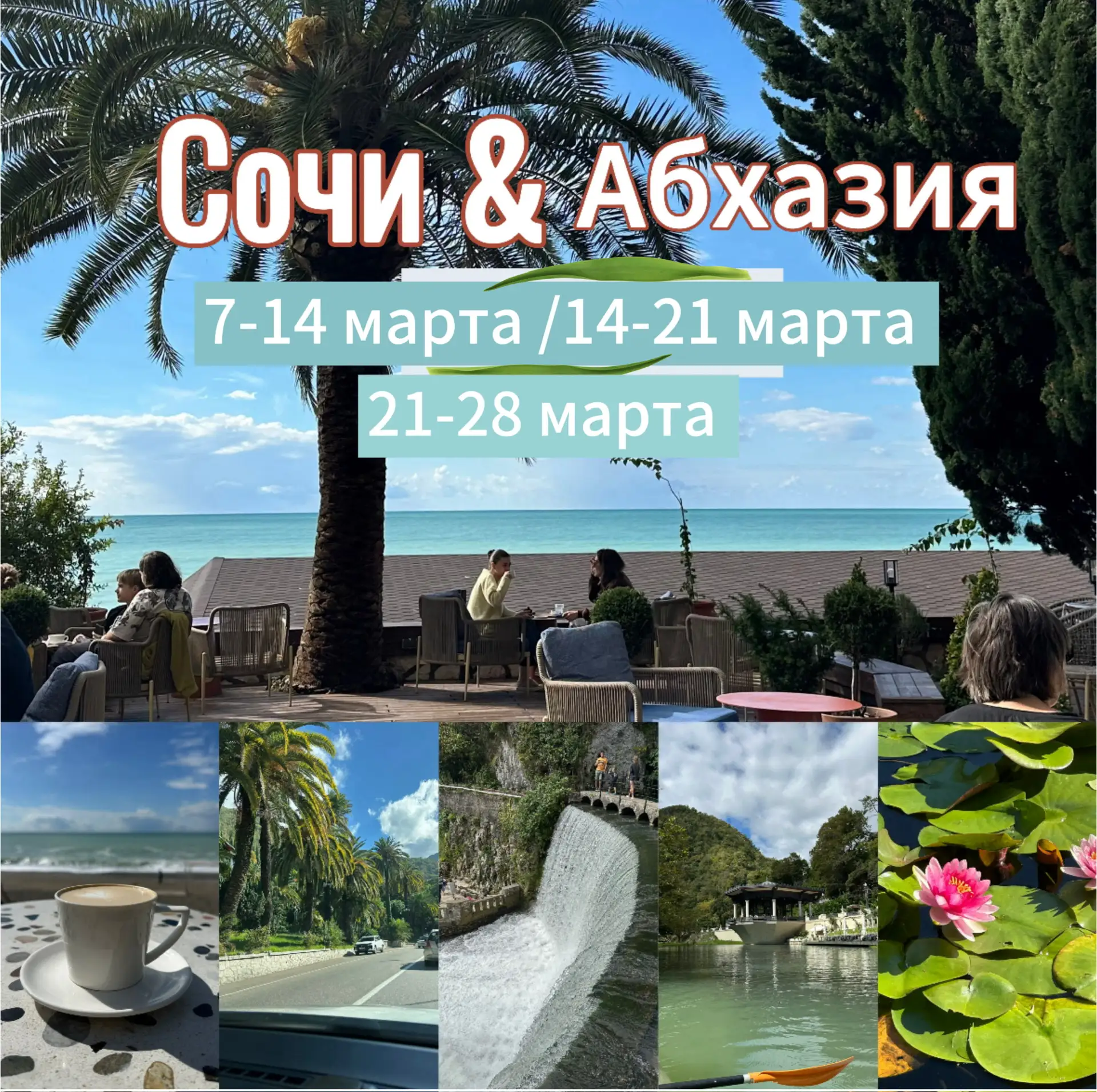 ✈️Летим в Сочи/Абхазию  из Новокузнецка!   Самый красивый сезон на ЮГЕ!  Время цветения и весеннего 