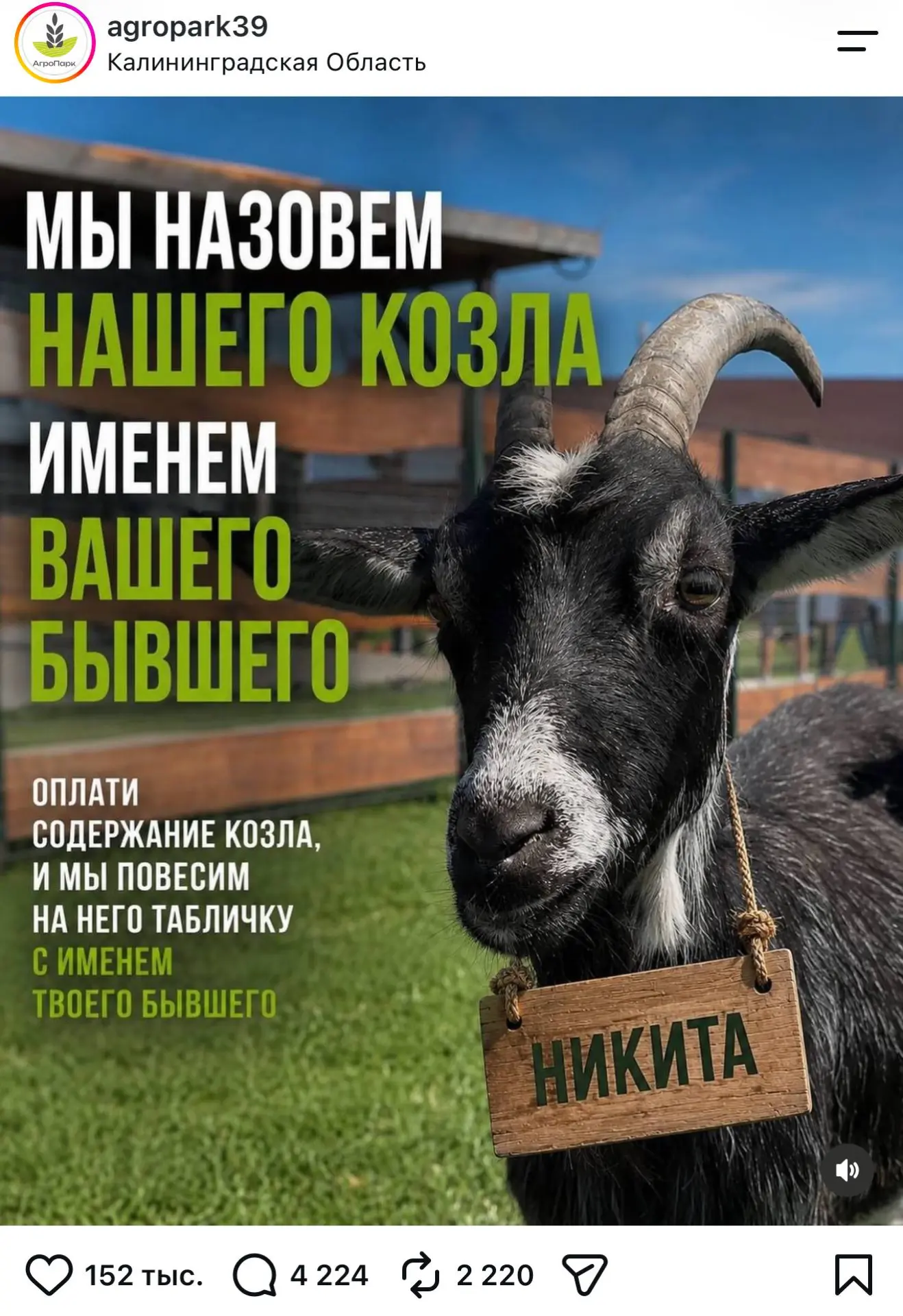 Лучшие маркетологи работают в Agropark. Гениально. А судя по комментариям и лайкам-акци...