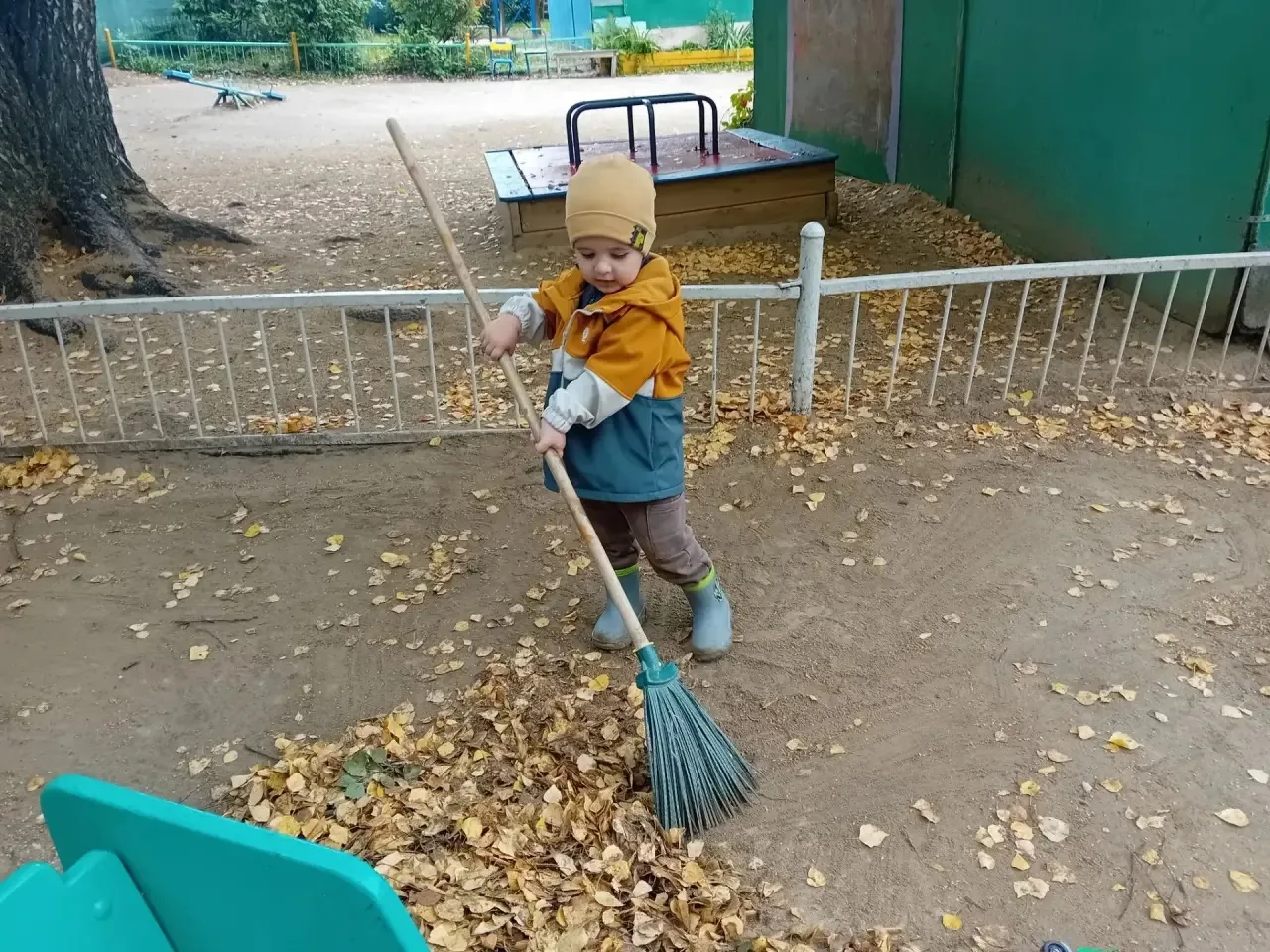 🍁 Маленькие помощники вышли на борьбу с листопадом! 🍂