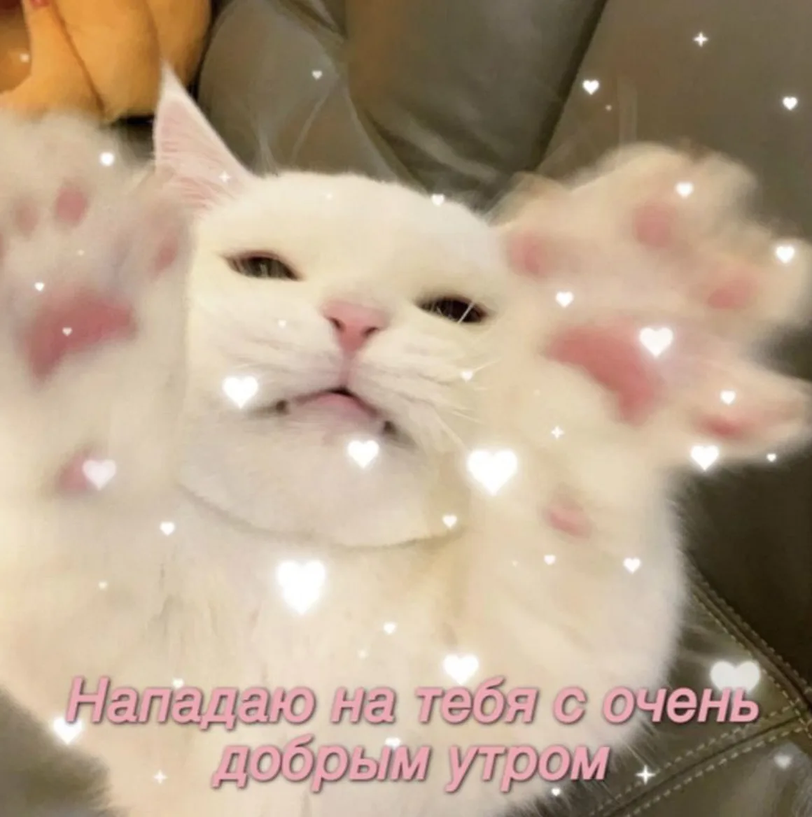 Ура, суббота!
Всем хорошего настроения!