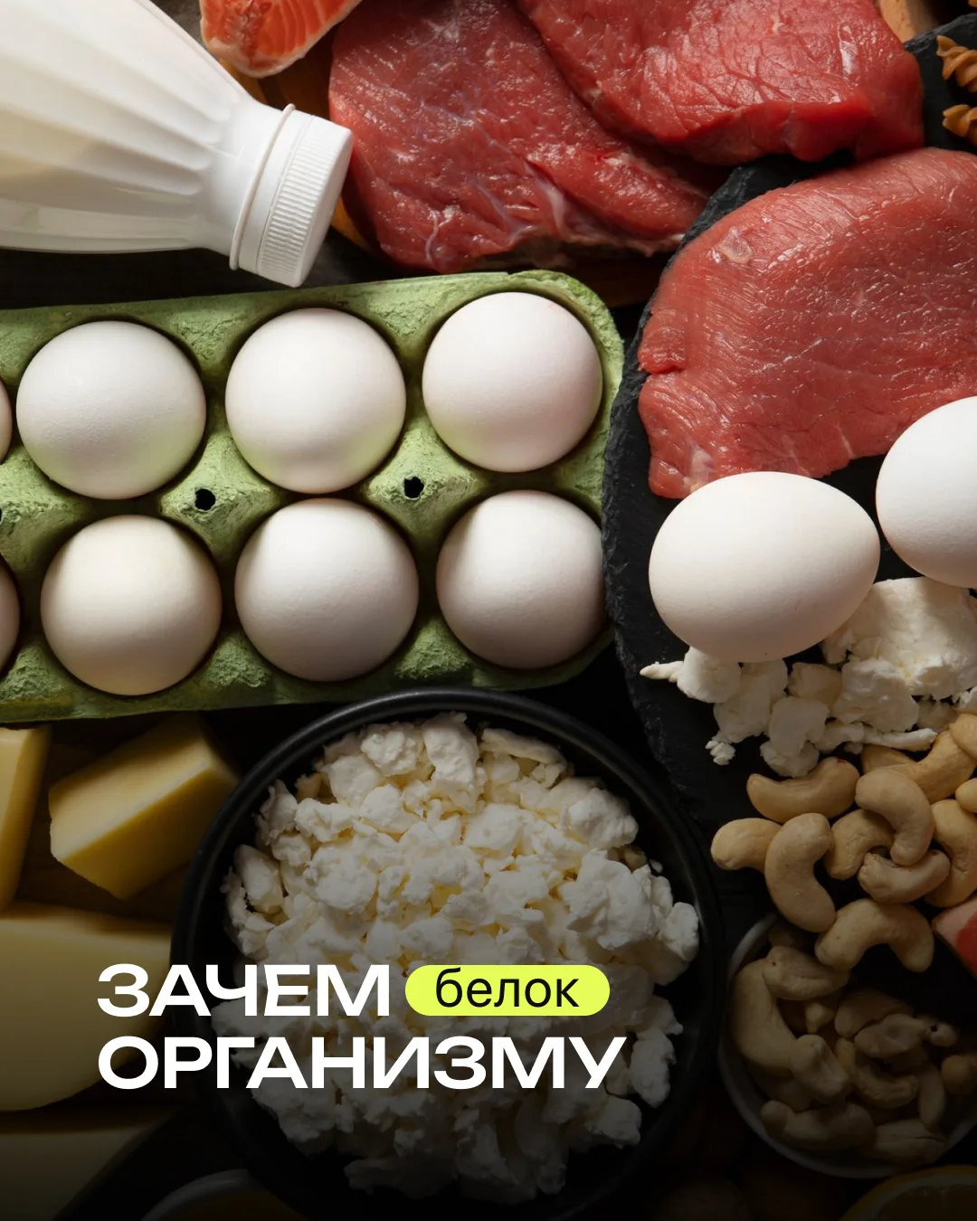 🥩 Зачем организму белок?