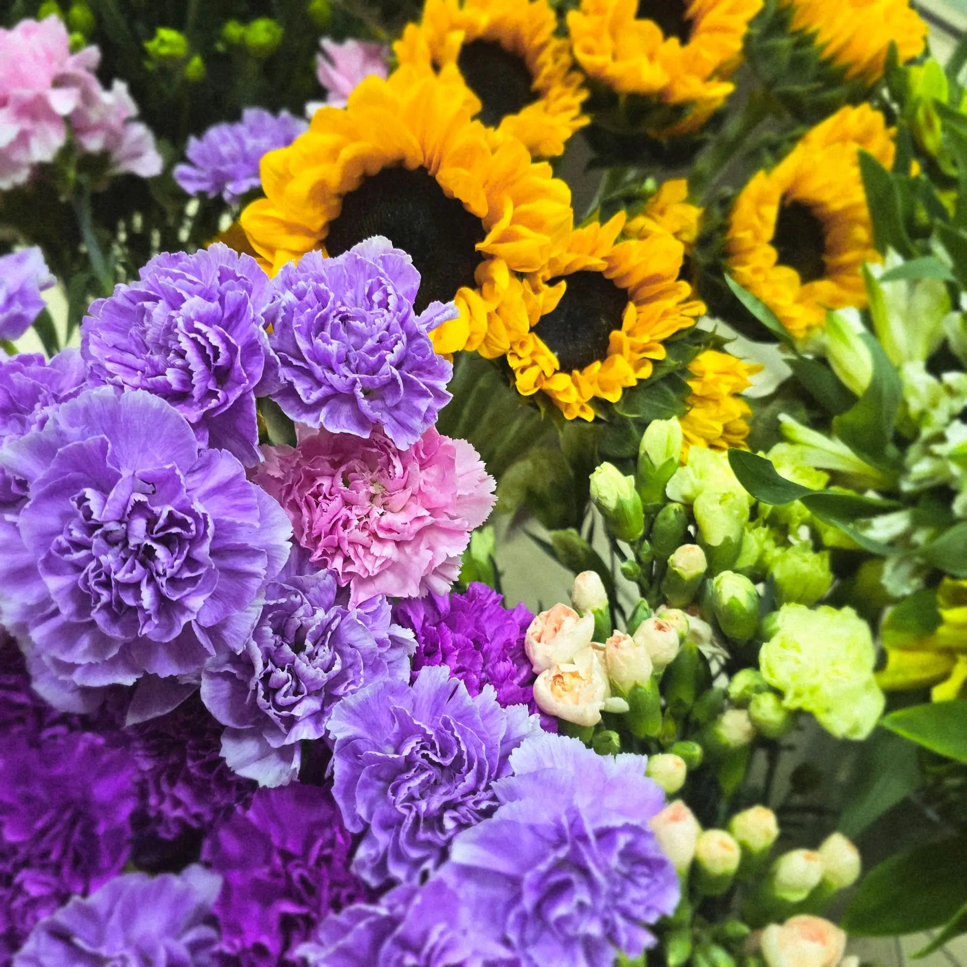 Немного много цветов в ленту 💐