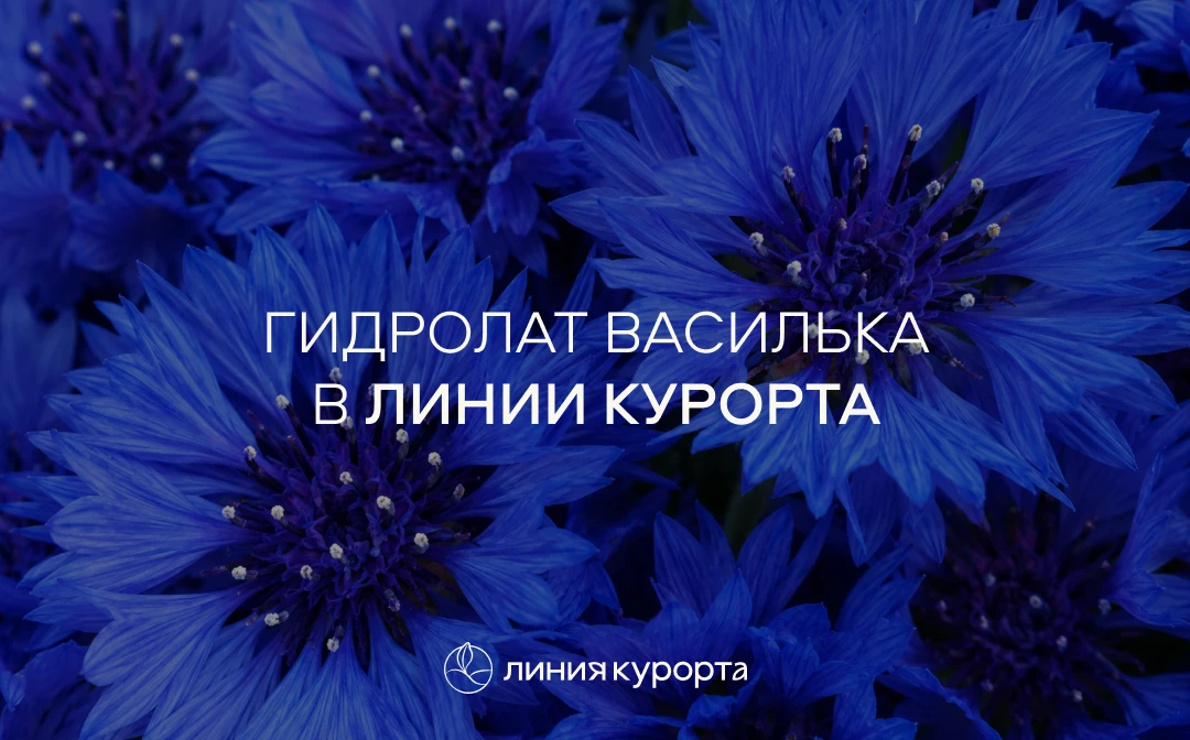 Секреты цветочной воды 🌸