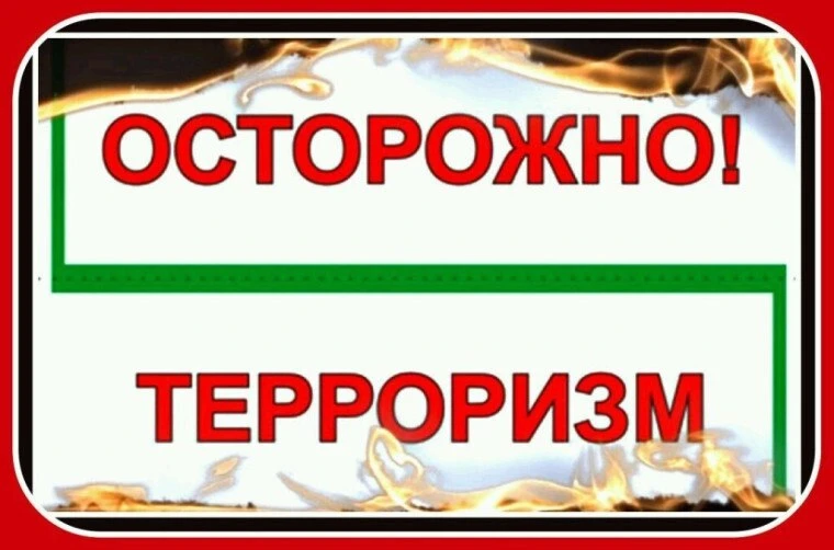 Диверсионно-террористические преступления — это общественно опасные деяния, направленны...