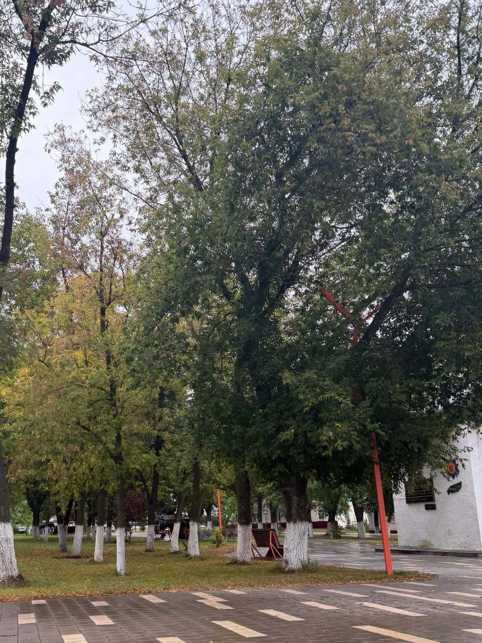 Доброй ночи, бавлинцы!
