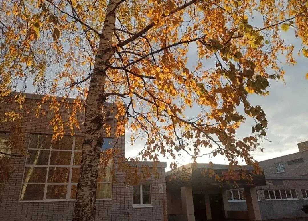 ❗️Строительство школы на 1100 мест в мкр В-8 (Восточный) Ижевска будет финансироваться ...