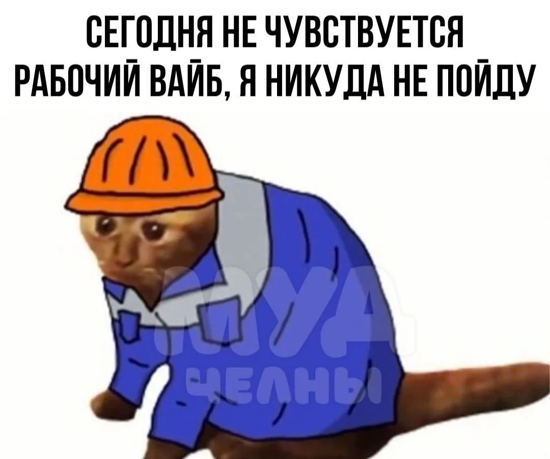 Именно так ощущается понедельник.