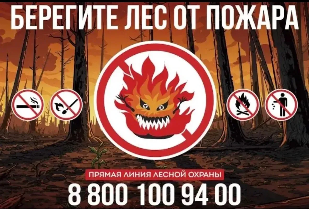 Внимание! Пожароопасный сезон!
Соблюдайте правила пожарной безопасности в лесах:
✔️ не жгите сухую т