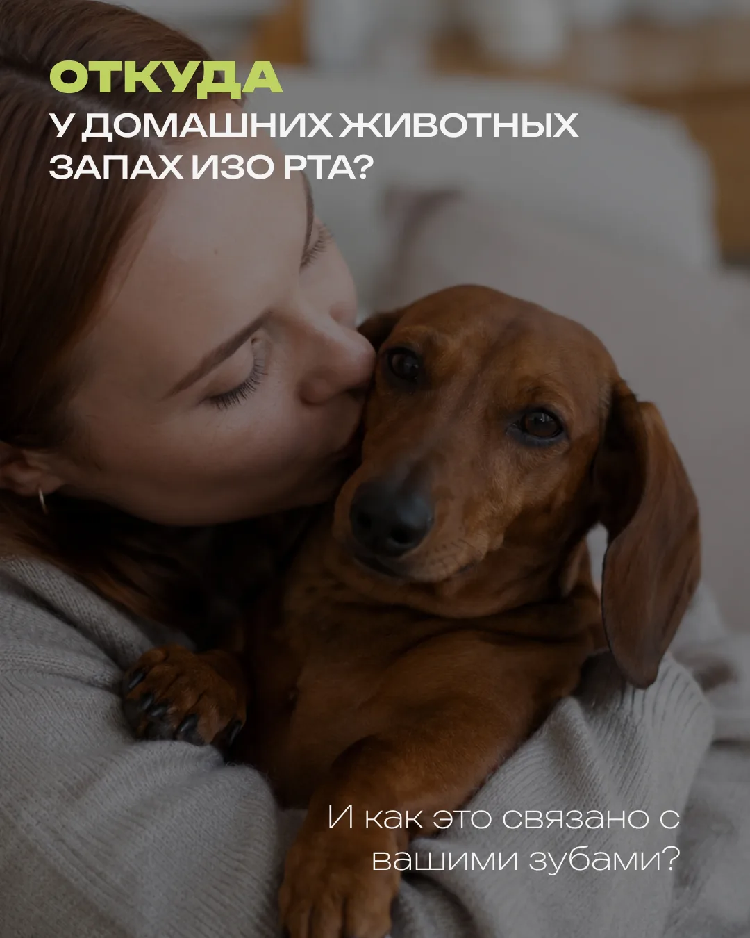 Ваша кошка мурлычет вам в лицо, а вы чувствуете… специфическое амбре.