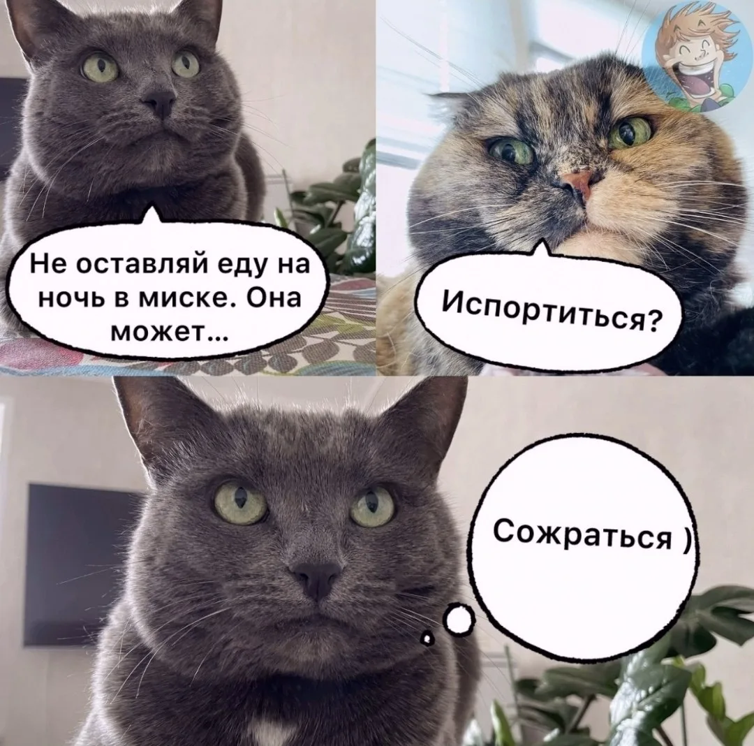 Ну бывает, да...)
