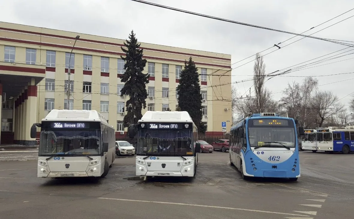 🚌 В Воронежской области обновили 91% автобусного парка