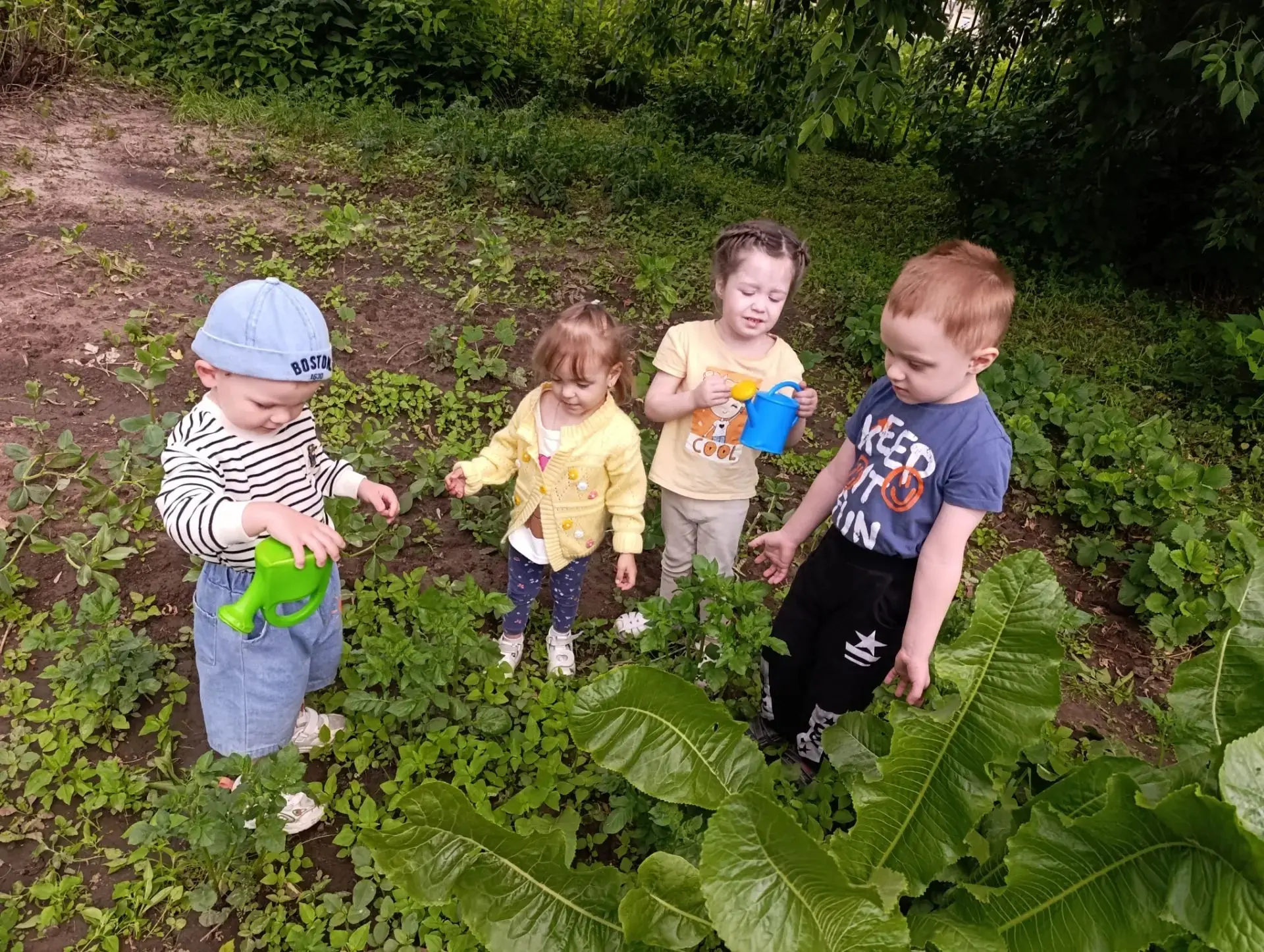 Огород на участке детского сада — одно из условий для осуществления экологического воспитания детей.