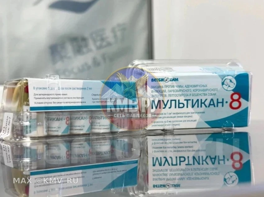 Ветеринарную вакцину «Мультикан-8» серии 20 потребовали изъять и уничтожить на Ставрополье