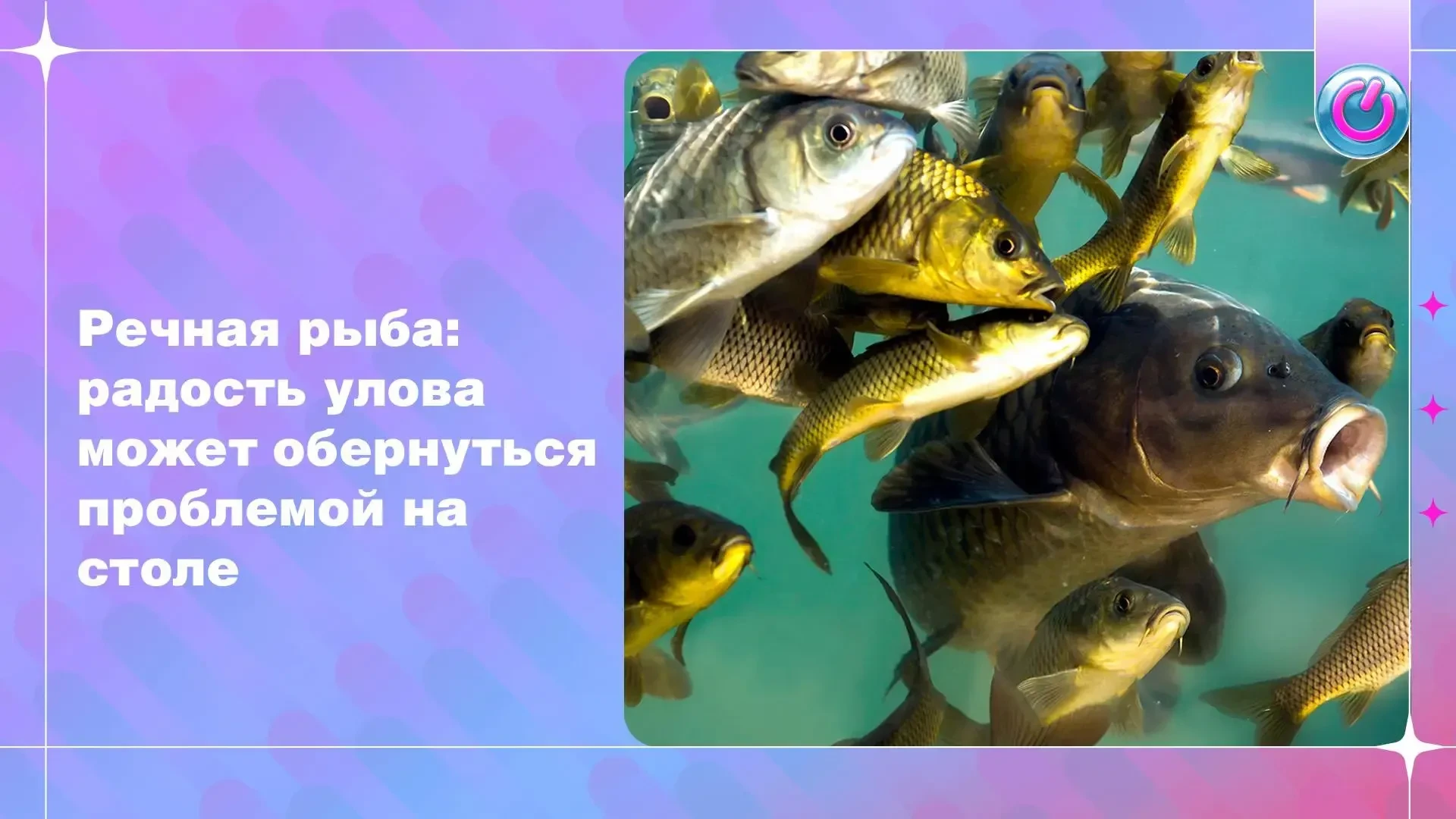 Румяная корочка на жареной рыбе — ещё не гарантия безопасности. Разбираем, как готовить...