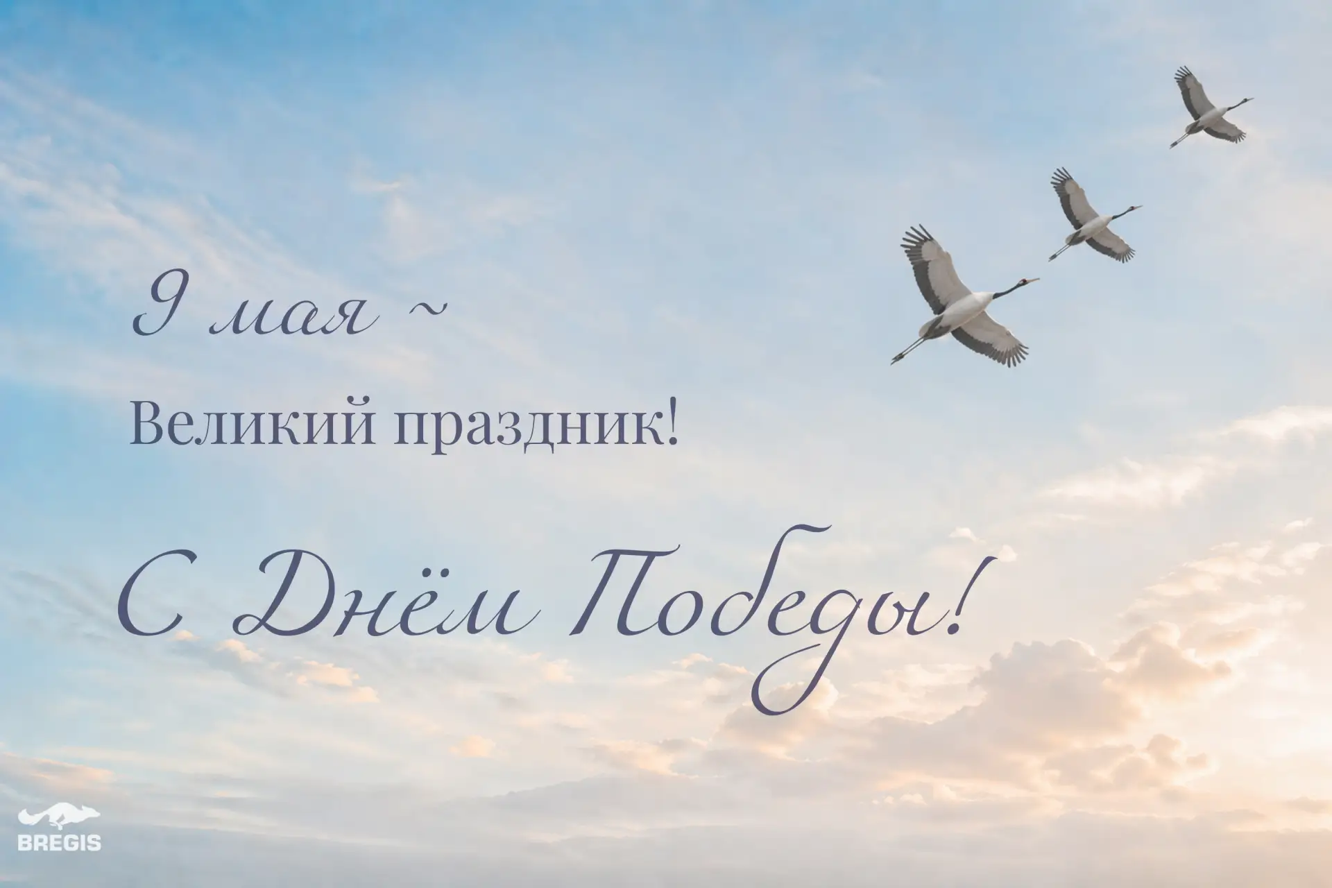 Уважаемые коллеги, поздравляем вас с Днём Победы!