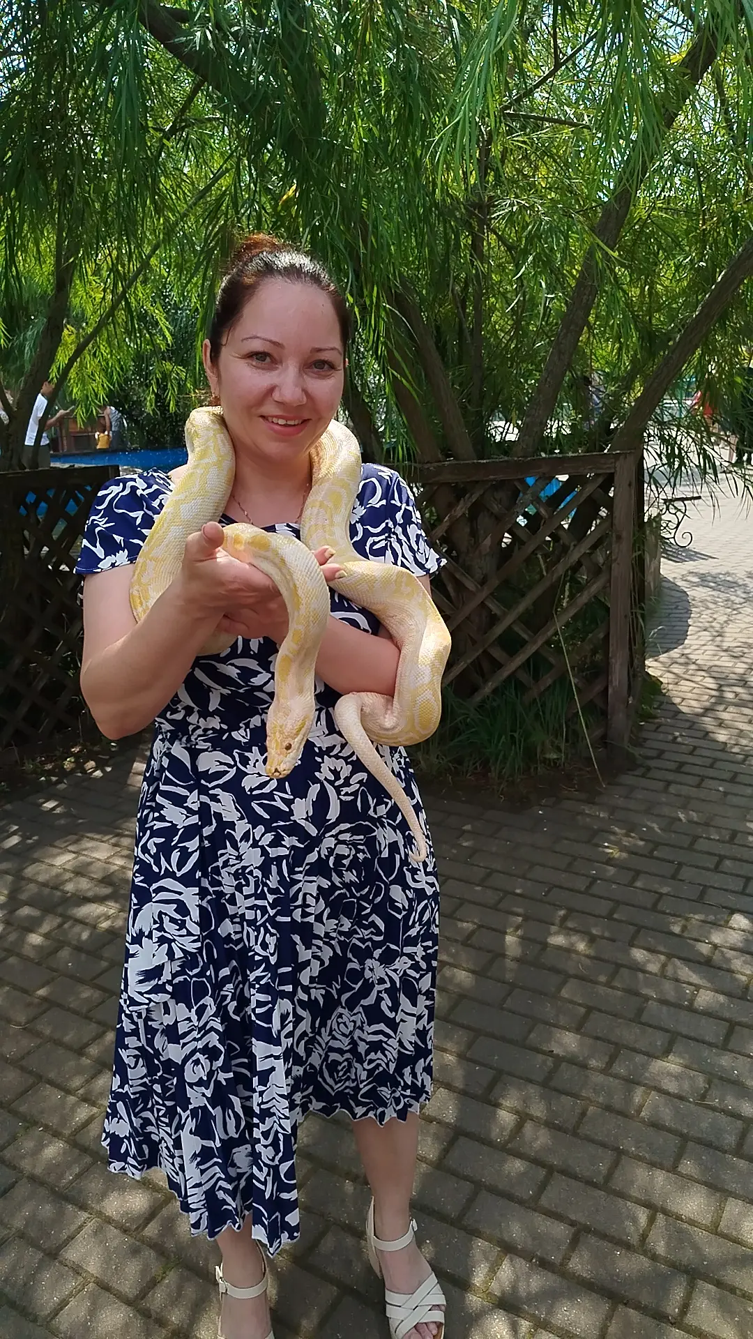 🐍ВЫ КОГДА-НИБУДЬ ЗАДУМЫВАЛИСЬ, ПОЧЕМУ ЗМЕЯ СБРАСЫВАЕТ КОЖУ?