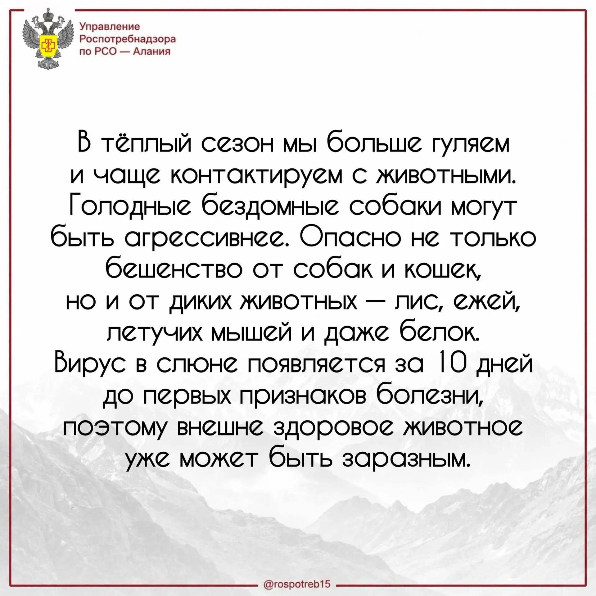 🐕 Бешенство и бездомные животные летом: как защитить себя и детей

Летом мы чаще встречаем бездомны